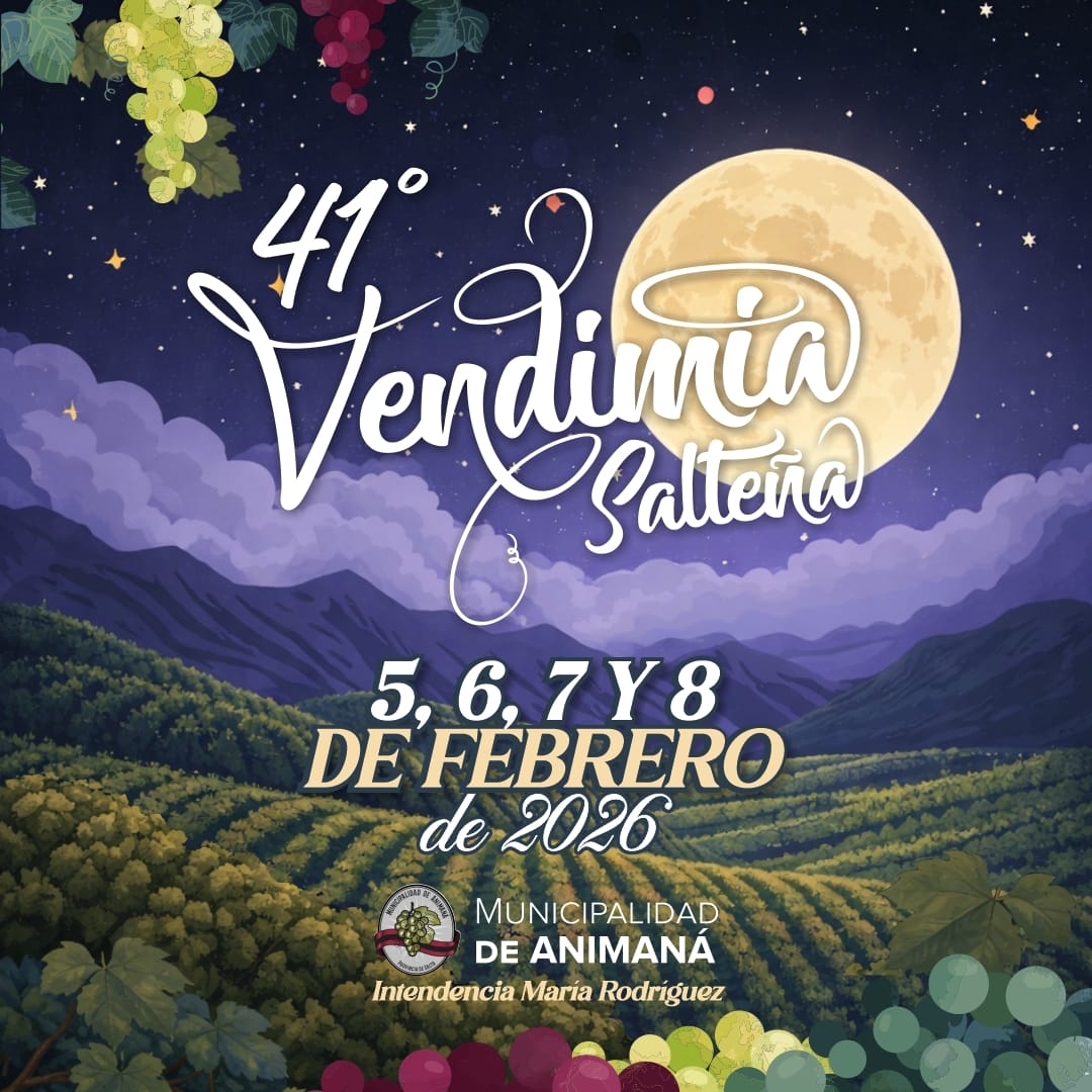 41 FIESTA DE LA VENDIMIA SALTEÑA - SABADO